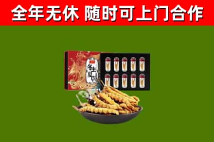 保康县烟酒回收冬虫夏草礼盒.jpg